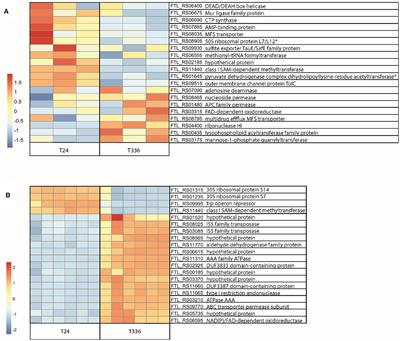 Corrigendum: Phenotypic and transcriptional characterization of F. tularensis LVS during transition into a viable but non-culturable state